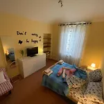 I Tulipani Miagliano