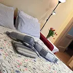 I Tulipani * Miagliano