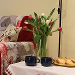 I Tulipani Apartmán *