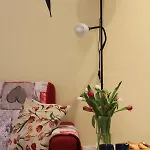 I Tulipani