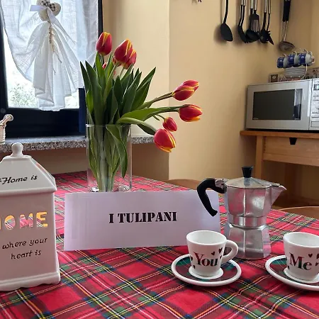 I Tulipani Miagliano