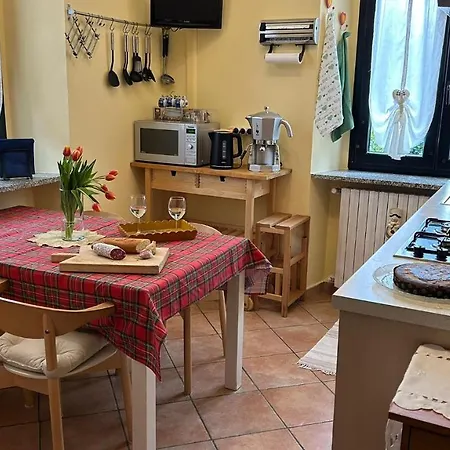 I Tulipani Miagliano
