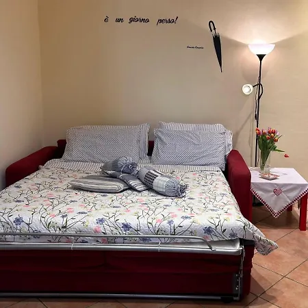 I Tulipani Miagliano