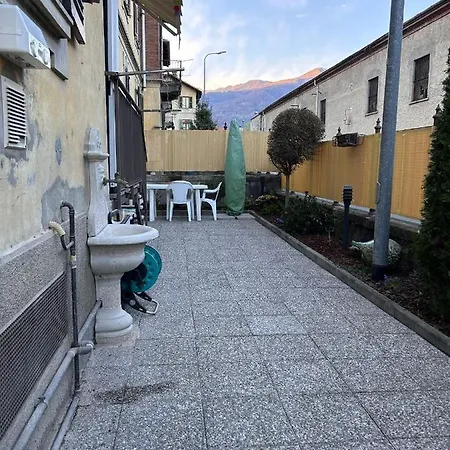 I Tulipani