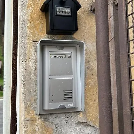 I Tulipani Miagliano